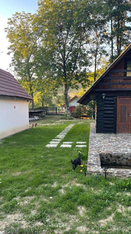 Cabana Paulina Chiscau Екстер'єр фото
